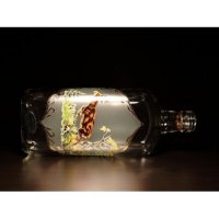 Jagerglass - Súprava s fľašou 0,5l + poháre na stopke likér 30 ml